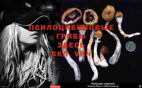 тгк Кинешма