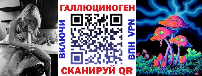 Псилоцибиновые грибы Psilocybe  Купить закладки  Иннополис 